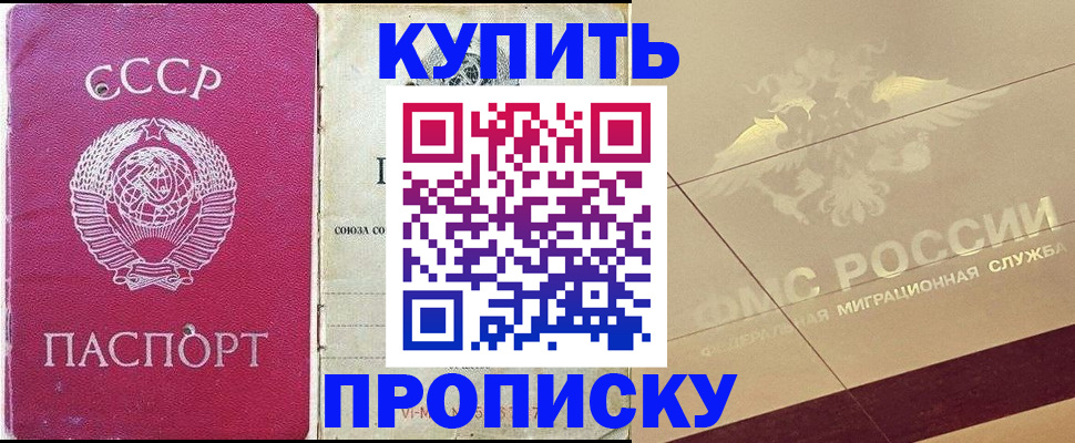 прописка для школы в Камышине